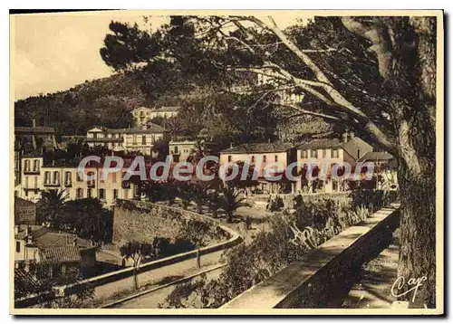 Cartes postales moderne Bormes Les Mimosas Les Hotels