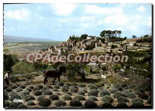 Cartes postales moderne Bonnieux Vue Generale De La Route De Marseille