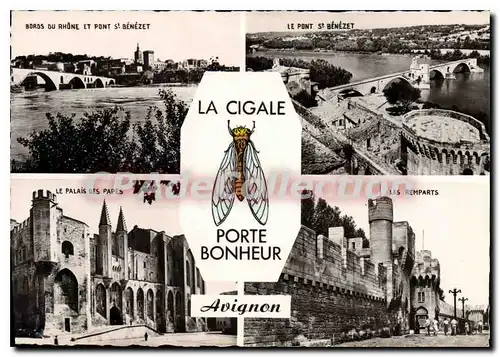 Cartes postales moderne La Cigale Porte Bonheur Avignon