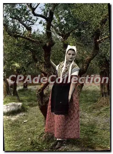 Moderne Karte Provence Jeune Fille En Costume de Comtadine au milieu des oliviers