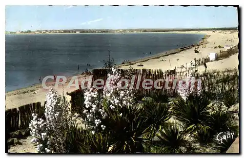 Ansichtskarte AK La Griere La Tranche Plage De La Griere Parc Des Nolleaux