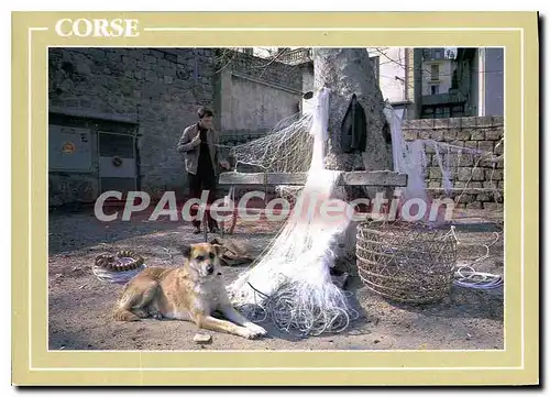 Cartes postales moderne Charme Et Couleurs de la Corse filets chien