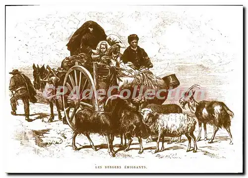 Cartes postales moderne A Corsica Di Tempi Fa La Transhumance Les Bergers Emigrants