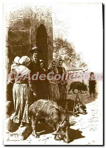 Cartes postales moderne A Corsica Di Tempi Fa Le March� Aux Cochons