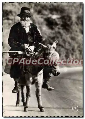 Cartes postales moderne Type Corse �ne