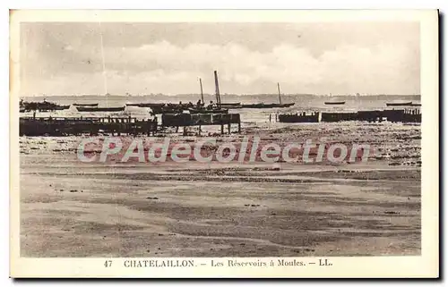 Cartes postales Chatelaillon Les Reservoirs A Moules