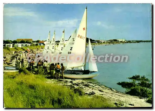 Cartes postales moderne Fouras La Flotte Des Voiliers Du Village PTT