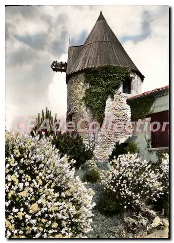 Cartes postales moderne Meschers Gironde Le Vieux Moulin