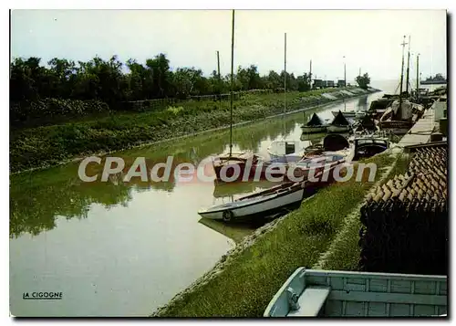 Cartes postales moderne Meschers Le Port