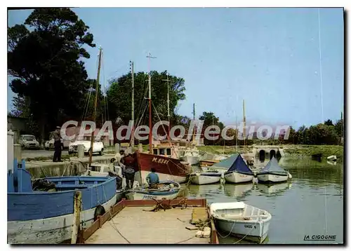 Cartes postales moderne Meschers Le Port