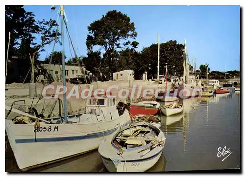 Cartes postales moderne Meschers Le Port