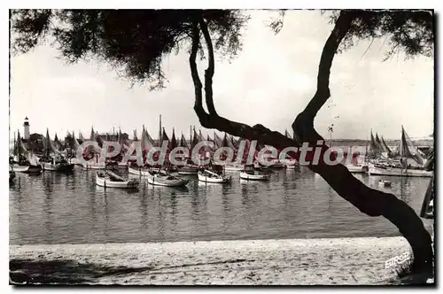 Cartes postales Ile D'Oleron La Cotiniere Le Port De La Cottiniere