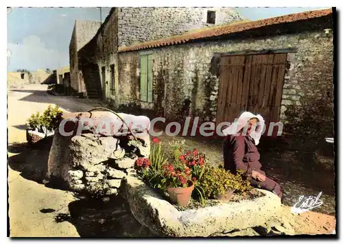 Cartes postales moderne Ile D'Oleron Un Vieux Puits