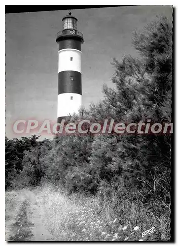 Cartes postales moderne L'Ile D'Oleron Phare De Chassiron Le Chemin Sauvage