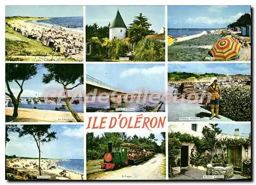 Cartes postales moderne Ile D'Oleron