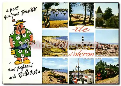 Cartes postales moderne Ile D'Oleron