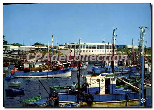 Cartes postales moderne La Cotiniere Ile D'Oleron Le Panoramic Et Le Port