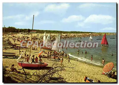 Cartes postales moderne Boyardville La Plage Ile D'Oleron