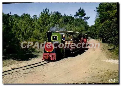 Cartes postales moderne Ile D'Oleron Le Petit Train De St Trojan