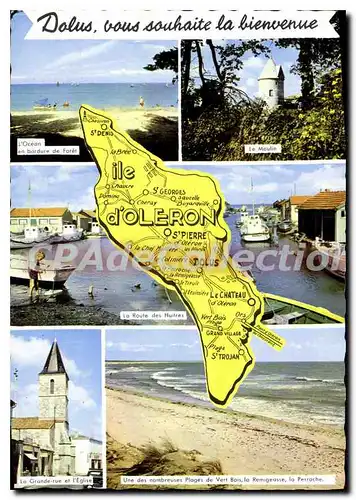 Cartes postales moderne Ile D'Oleron Grande Rue Dolus