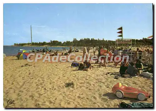 Cartes postales moderne BoyardviIle D'Oleron La Plage