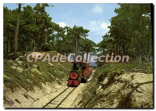 Cartes postales moderne Petit Train Touristique Oleronais