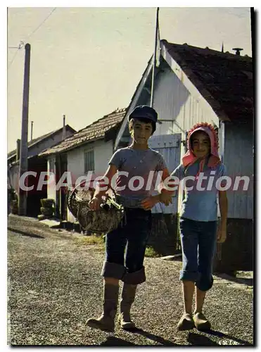 Cartes postales moderne Ile D'Oleron Couple D'Enfants Partant A la Peche huitres