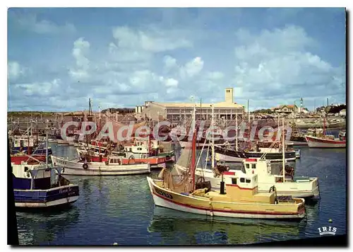 Cartes postales moderne Ile D'Oleron La Cotiniere Le Port