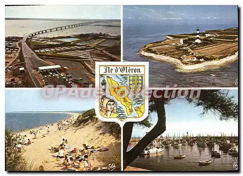 Cartes postales moderne Ile D'Oleron La Pointe Du Phare port de la cotiniere