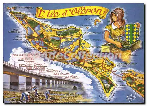 Cartes postales moderne Ile D'Oleron carte touristique