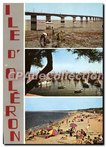 Cartes postales moderne Ile D'Oleron Le Nouveau Pont port phare cotiniere plaisance gautrelle