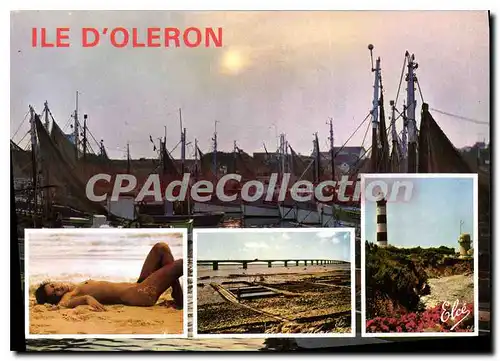 Cartes postales moderne Ile D'Oleron Coucher De Soleil Sur Le Port De La Cotiniere femme nue