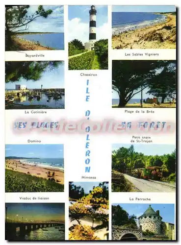 Moderne Karte Ile D'Oleron boyardville domino perroche train plage de la br�e sables vigniers