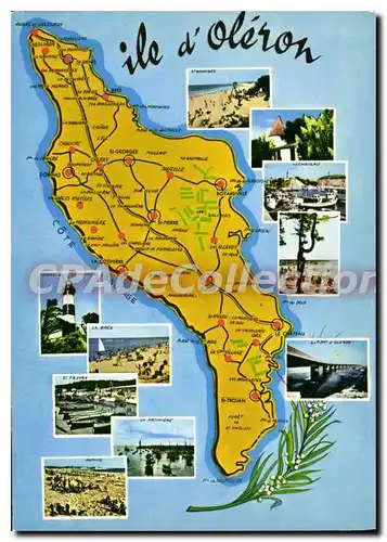 Cartes postales moderne Ile D'Oleron carte touristique