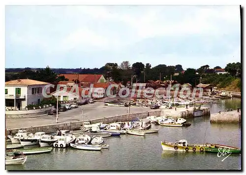 Cartes postales moderne Ile D'Oleron Le Port Avec Son Grand Bassin