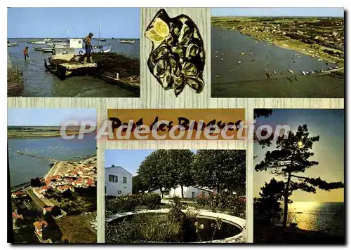 Cartes postales moderne Port Des Barques Le Port Vue Generale jardin public