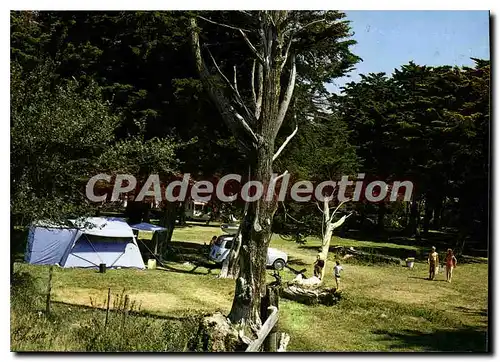 Moderne Karte Port Des Barques Le Camping De I'Ile Madame