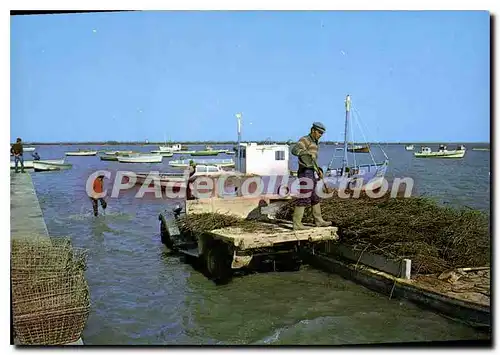 Cartes postales moderne Port Des Barques Le Port