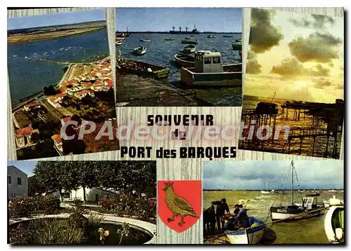 Cartes postales moderne Port Des Barques Vue Generale Le Jardin Et Le Port