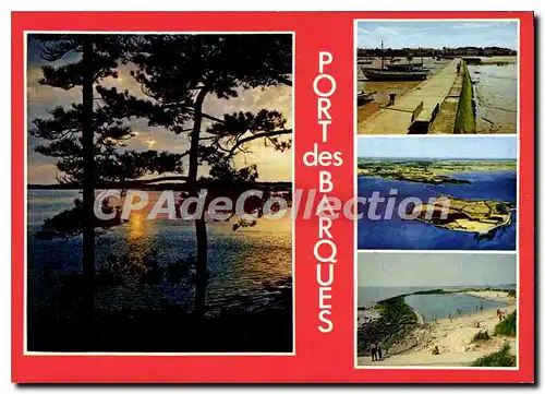 Cartes postales moderne Port Des Barques Coucher De Soleil Le Port