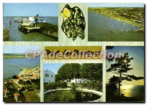 Cartes postales moderne Port Des Barques Le Port Vue Generale