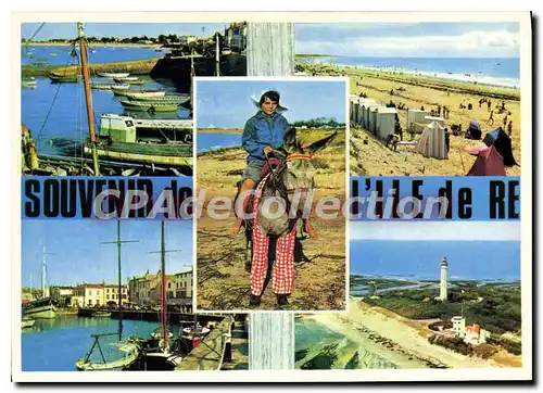 Cartes postales moderne Ile De Re Rivedoux Le Bois Plage Saint Martin Le Phare Des Baleines