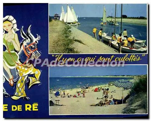 Cartes postales moderne Ile De Re Divers Aspects il y en a qui sont culott�s