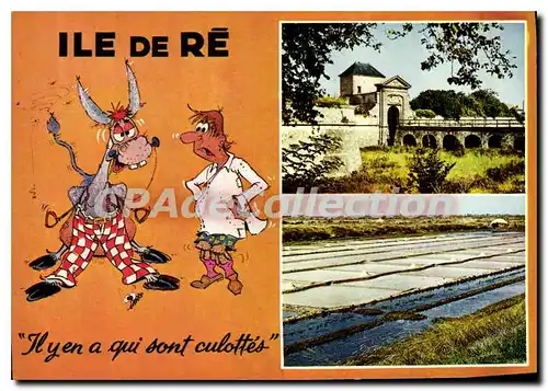 Cartes postales moderne Ile De Re il y en a a Qui Sont Culottes