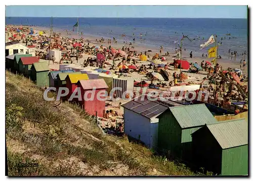 Cartes postales moderne Ile De Re Sur La Plage De La Couarde