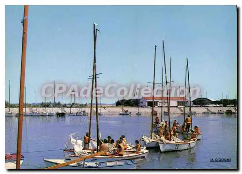 Cartes postales moderne Ile De Re L'Ecole De Voile Dans Le Chenal D'Ars