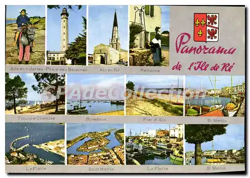 Cartes postales moderne Panorama De I'Ile De Re