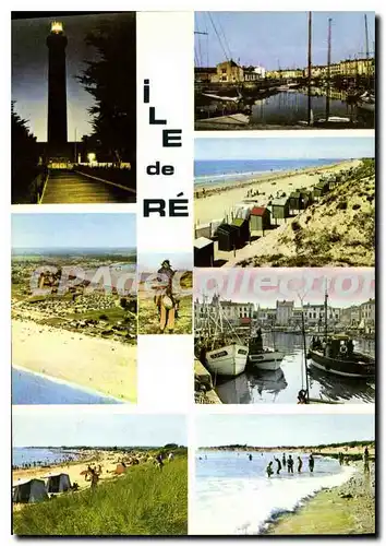 Cartes postales moderne I'Ile De Re