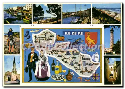 Cartes postales moderne I'Ile De Re Ars En Re