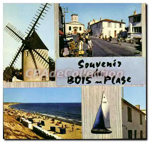 Cartes postales moderne I'Ile De Re Le Bois Plage Le Moulin De Morinand